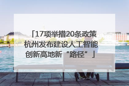 17项举措20条政策 杭州发布建设人工智能创新高地新“路径”