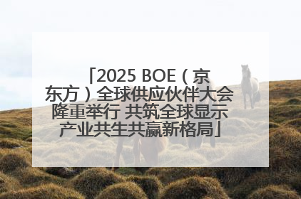 2025 BOE（京东方）全球供应伙伴大会隆重举行 共筑全球显示产业共生共赢新格局