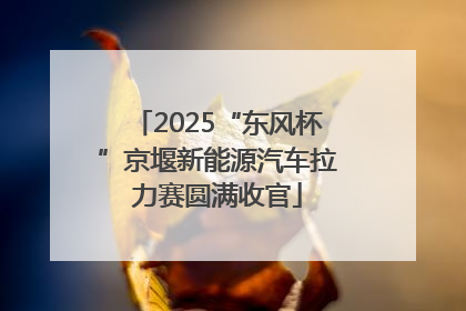 2025“东风杯”京堰新能源汽车拉力赛圆满收官