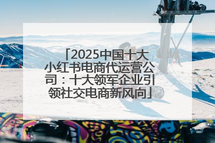 2025中国十大小红书电商代运营公司：十大领军企业引领社交电商新风向
