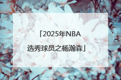 2025年NBA选秀球员之杨瀚森