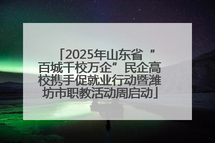 2025年山东省“百城千校万企”民企高校携手促就业行动暨潍坊市职教活动周启动
