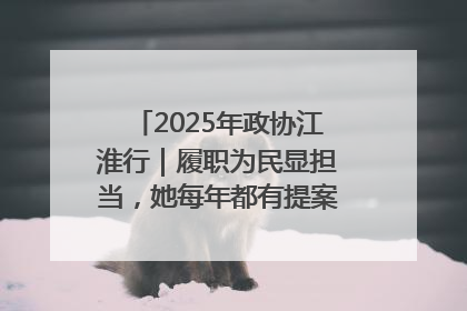 2025年政协江淮行｜履职为民显担当，她每年都有提案被评为“优秀”