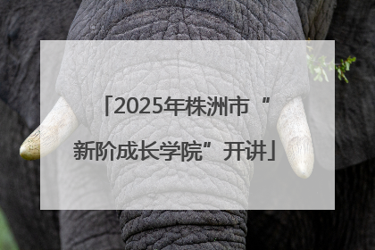 2025年株洲市“新阶成长学院”开讲