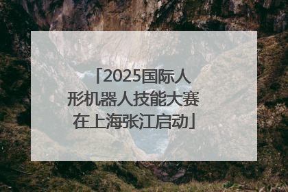 2025国际人形机器人技能大赛在上海张江启动