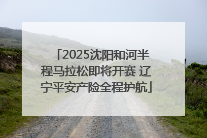 2025沈阳和河半程马拉松即将开赛 辽宁平安产险全程护航