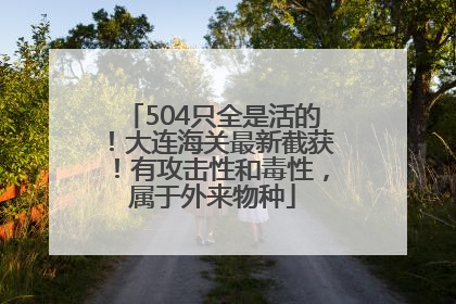 504只全是活的！大连海关最新截获！有攻击性和毒性，属于外来物种