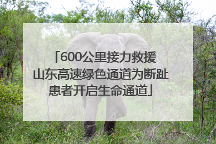 600公里接力救援 山东高速绿色通道为断趾患者开启生命通道