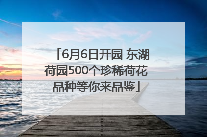6月6日开园 东湖荷园500个珍稀荷花品种等你来品鉴
