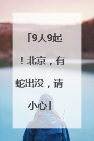 9天9起！北京，有蛇出没，请小心