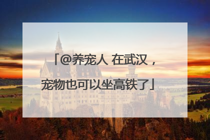 @养宠人 在武汉，宠物也可以坐高铁了