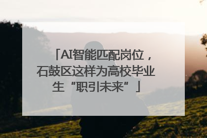AI智能匹配岗位，石鼓区这样为高校毕业生“职引未来”