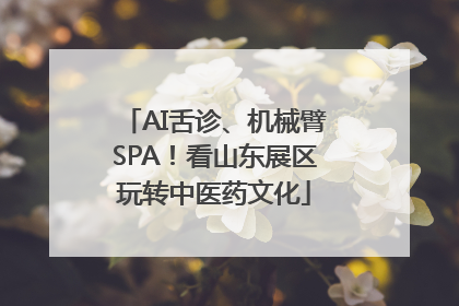 AI舌诊、机械臂SPA！看山东展区玩转中医药文化