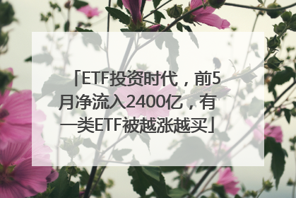 ETF投资时代，前5月净流入2400亿，有一类ETF被越涨越买
