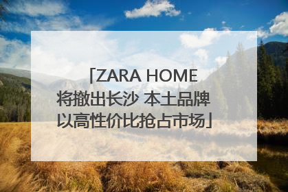 ZARA HOME将撤出长沙 本土品牌以高性价比抢占市场